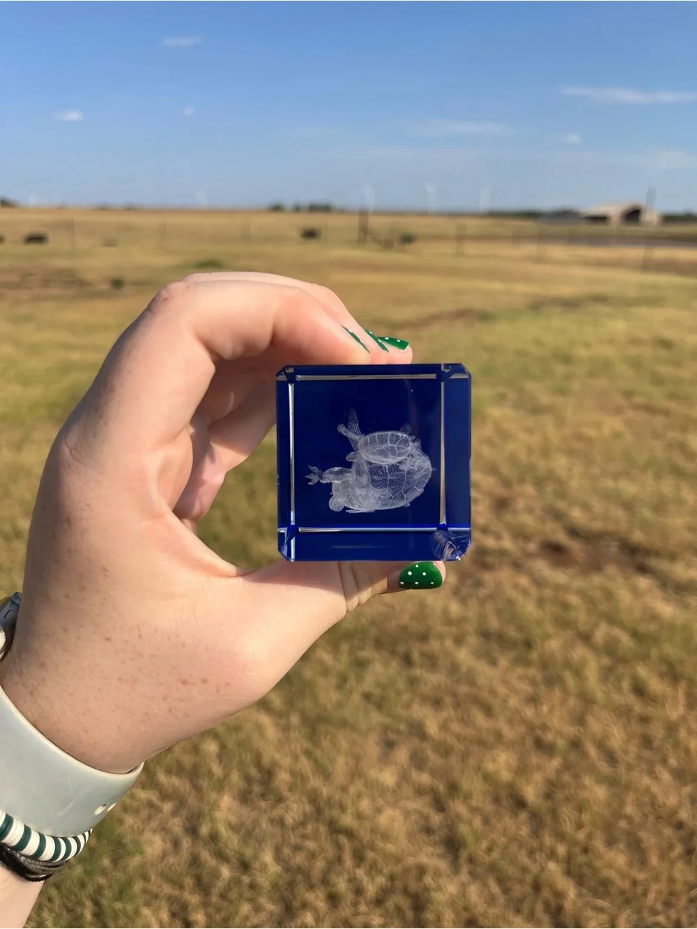 Collectible Clear Orange Beach Souvenir Acrylic Paperweight - Blue Accent